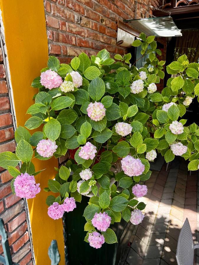 Hotel Vila 15 Tiranë Luaran gambar